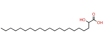 2-Hydroxyheneicosanoic acid